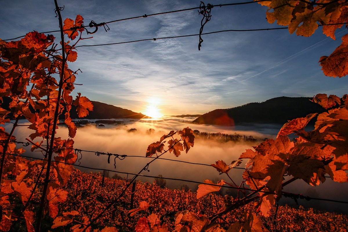 Josef Salomon - Sonnenaufgang im Herbst