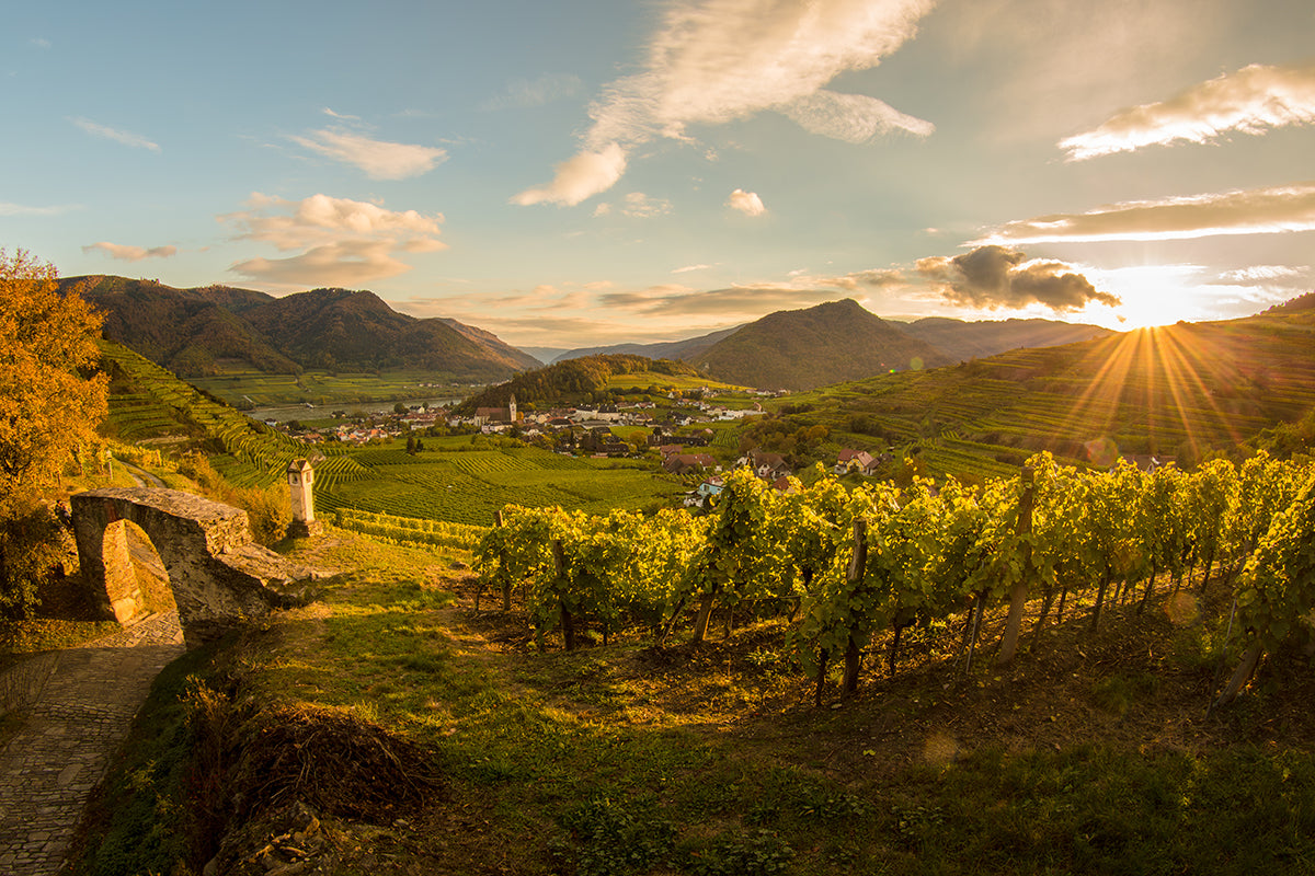 Josef Salomon - Sonnenuntergang Spitz Rotes Tor