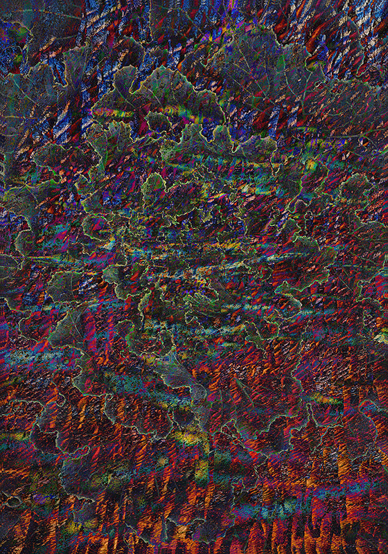 Susanne Jech - Gemüsebeet