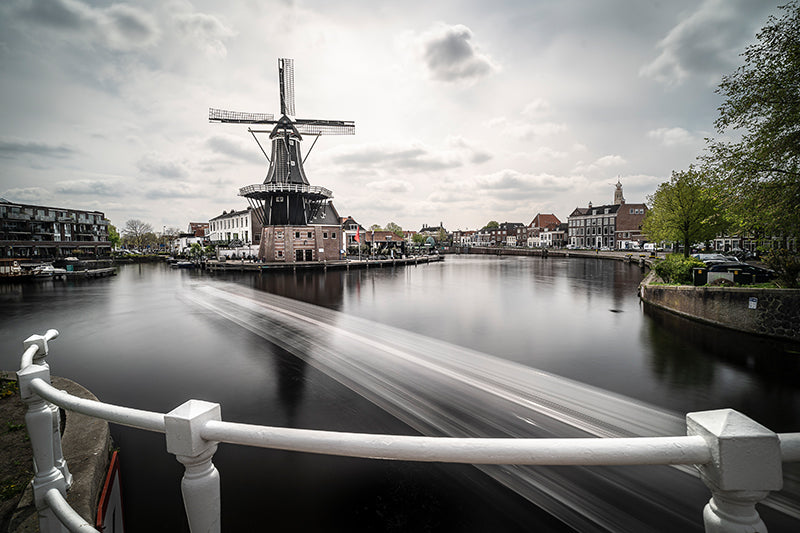 Sonja Ivancsics - HollandHaarlem