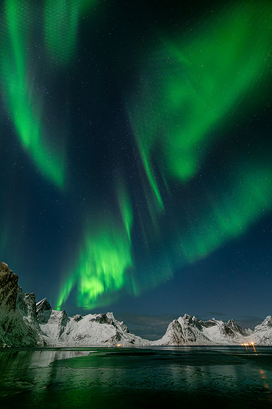 Sonja Ivancsics - LofotenAurora