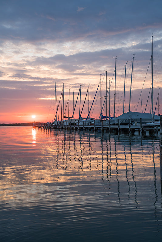 Birgit Machtinger - Segelboote in Mörbisch