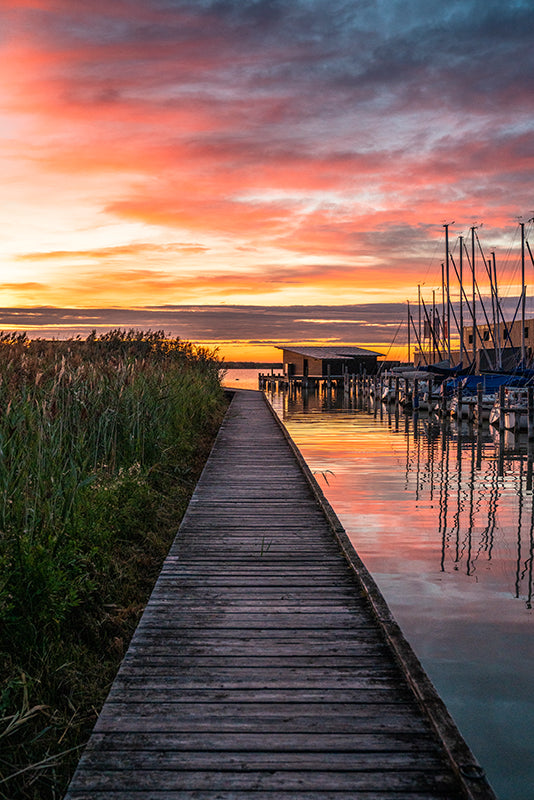 Birgit Machtinger - Mörbisch