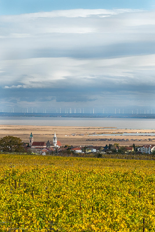Birgit Machtinger - Herbst am Neusiedler See