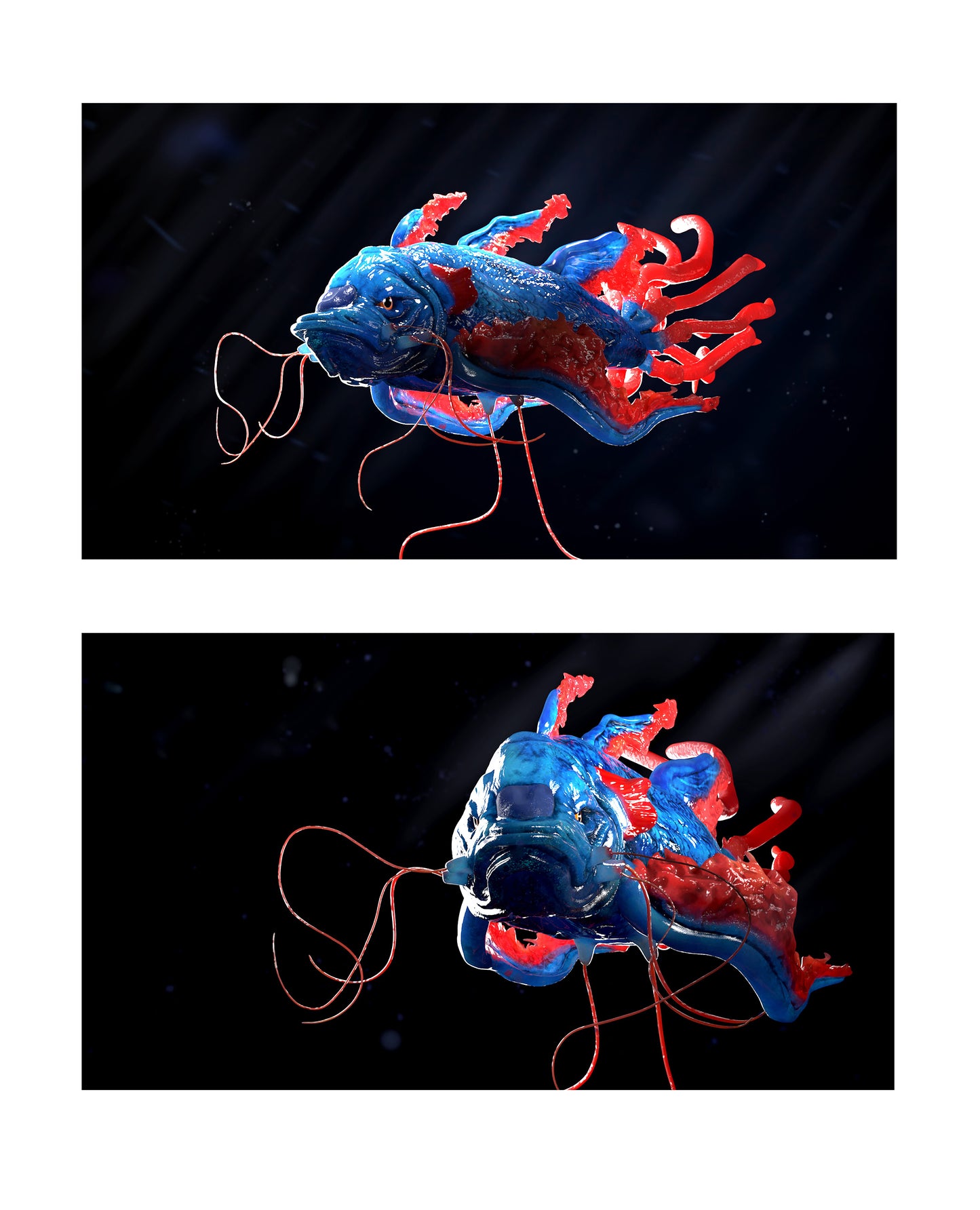 Marie-Christin Aufinger - Koilly-fish