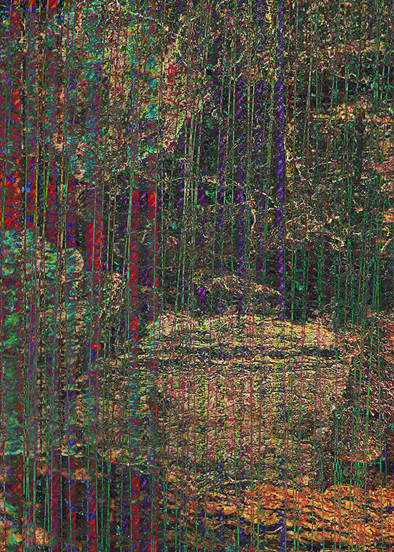 Susanne Jech - Rübe