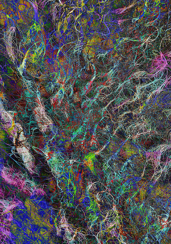 Susanne Jech - Schäfchen