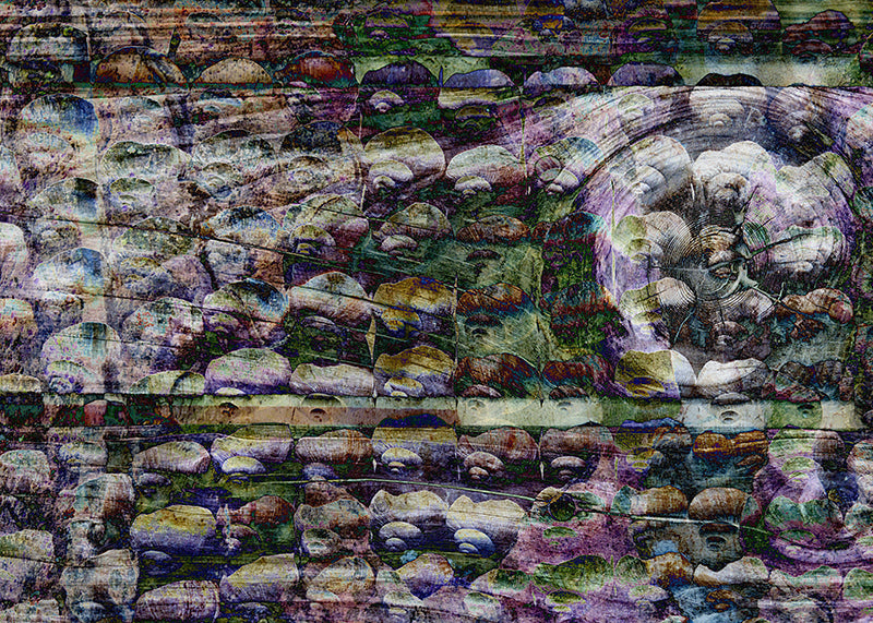 Susanne Jech - Schneckenhaus