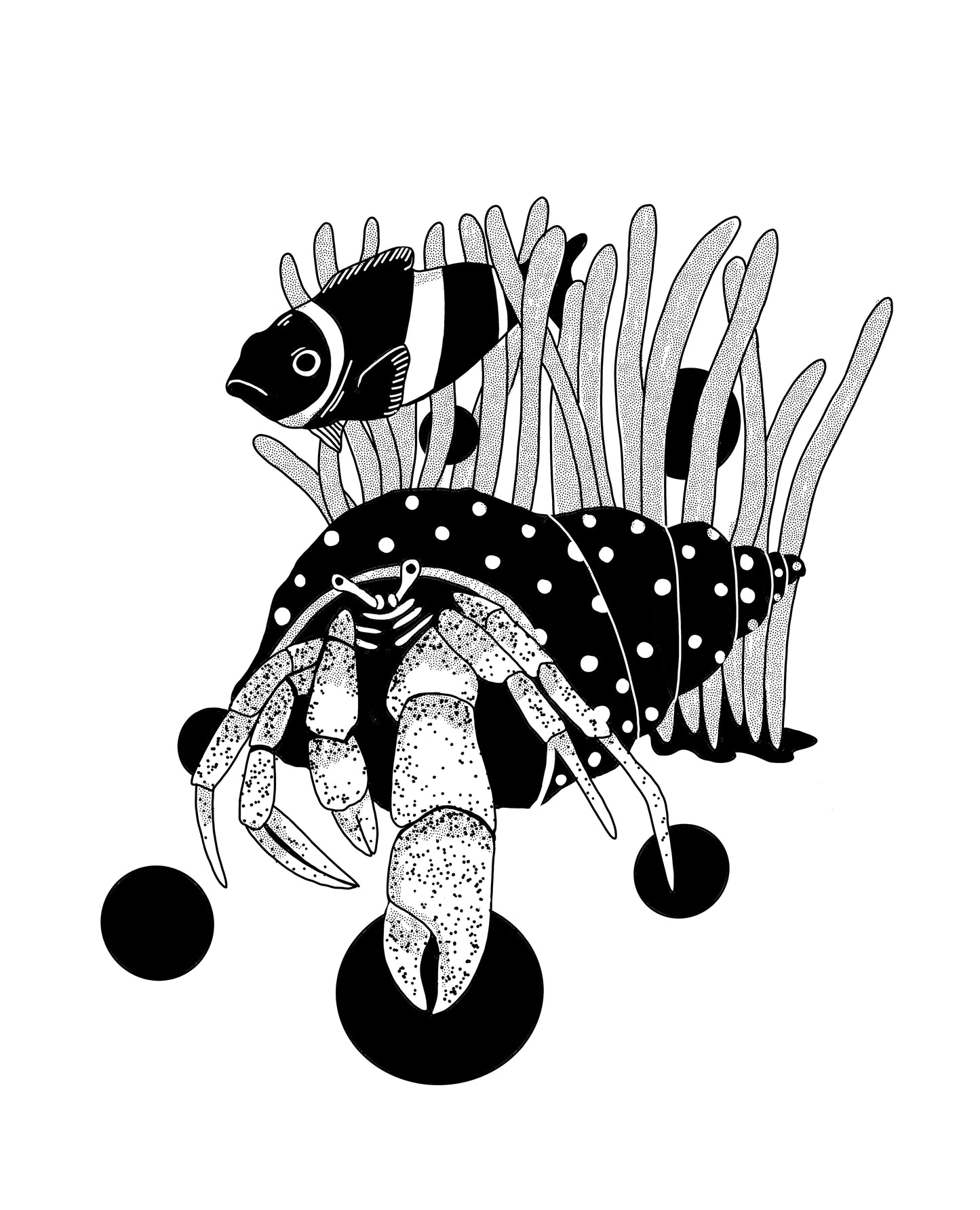 Susanna Katter - Korallensterben Serie 9