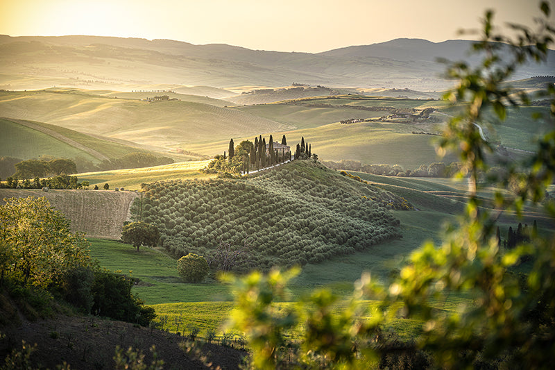 Sonja Ivancsics - TuscanyPodereBelvedere