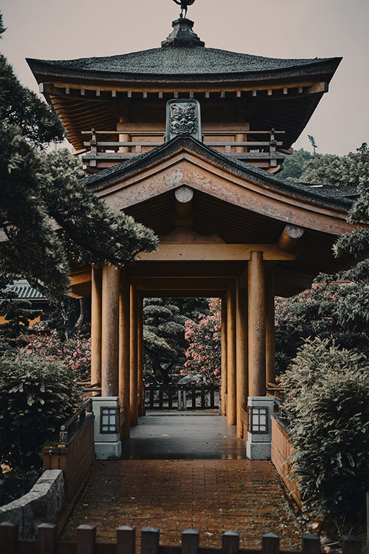 Sead Dedic - Nan Lian Garden in Hong Kong #2