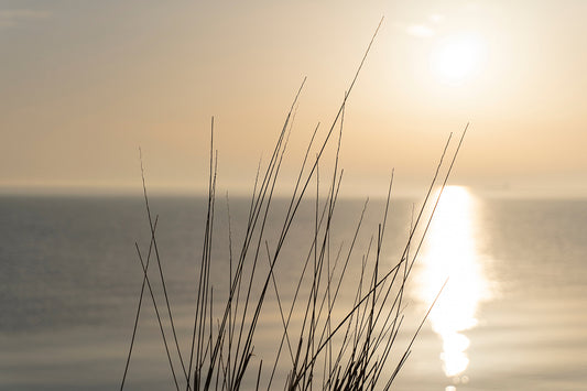 At peace – Ariane Kabengi