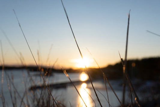 Kissed by sunset – Ariane Kabengi