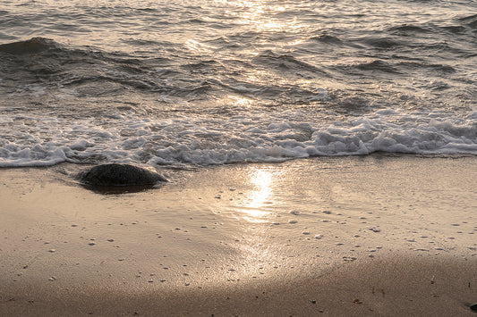 Stranded in brightness – Ariane Kabengi