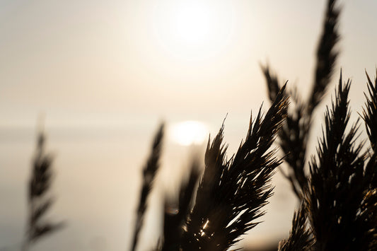 Sunset Shower – Ariane Kabengi